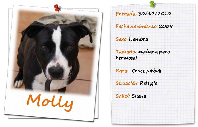 molly