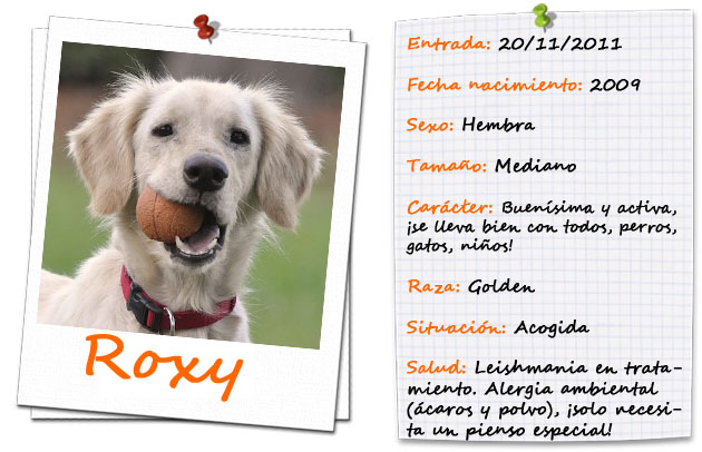 fitxa5roxy