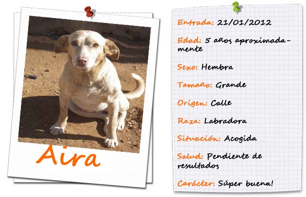 FICHA ENTRADA-TIPUS AIRA