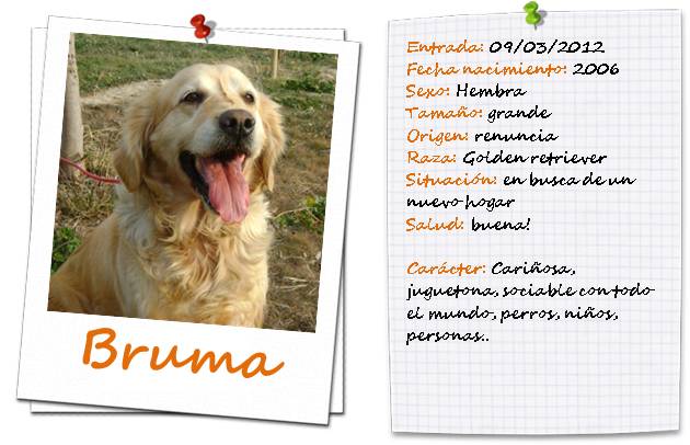 bruma