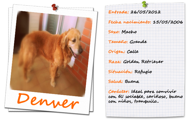 ficha ENTRADA-TIPUS DENVER copia