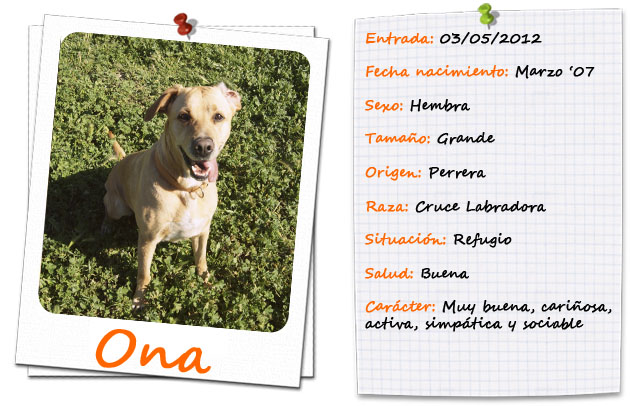 FICHA ENTRADA-TIPUS ONA