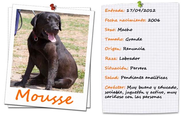 FICHA ENTRADA-TIPUS MOUSSE