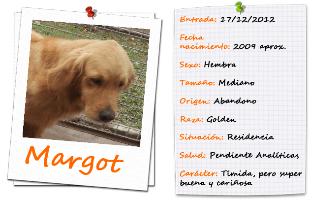 MARGOT FICHA