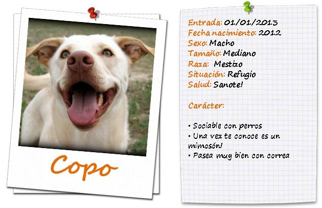 copo