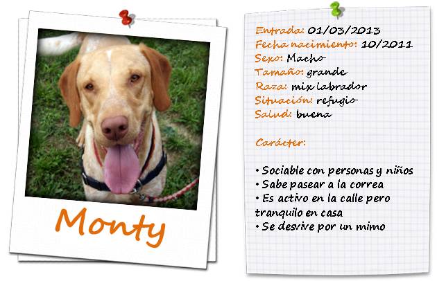 monty