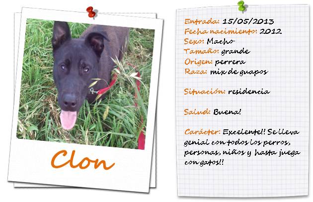 clon