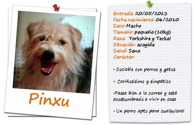 pinxu