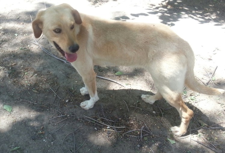 20130530_130010-1 - copia