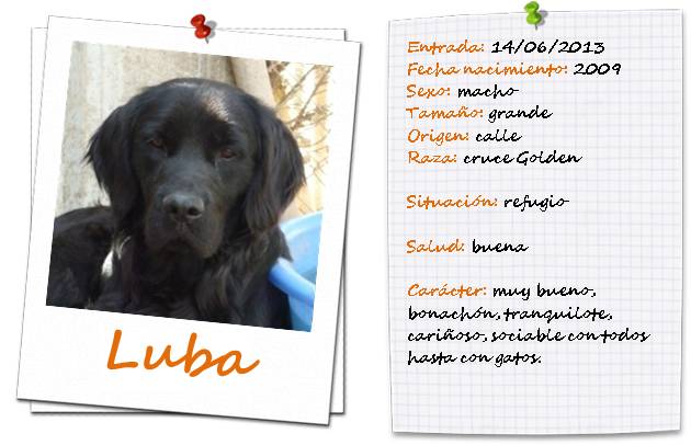 luba