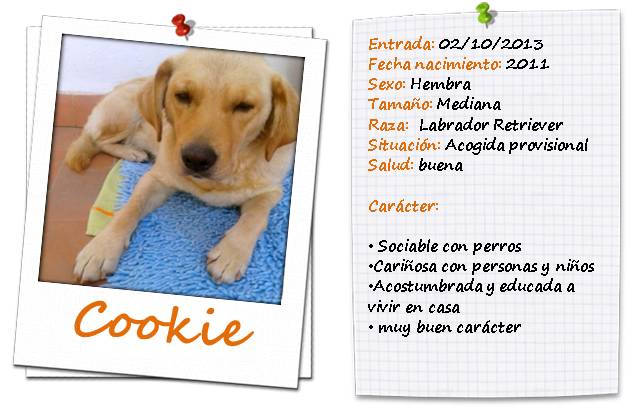 fichacookie