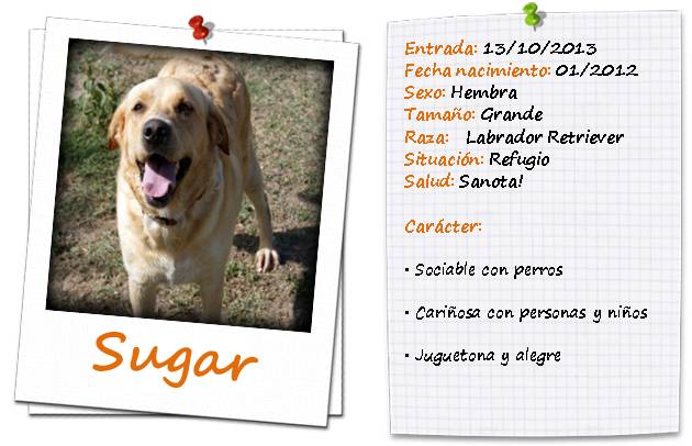 fichasugar