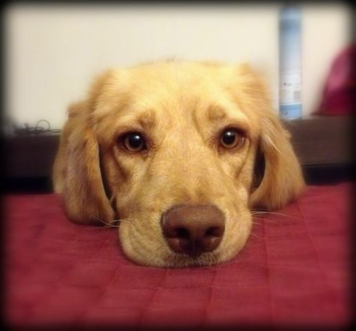 ba69606a0a2b9adfd8af7aeaf0f8333b