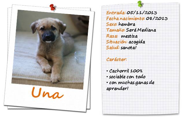 una