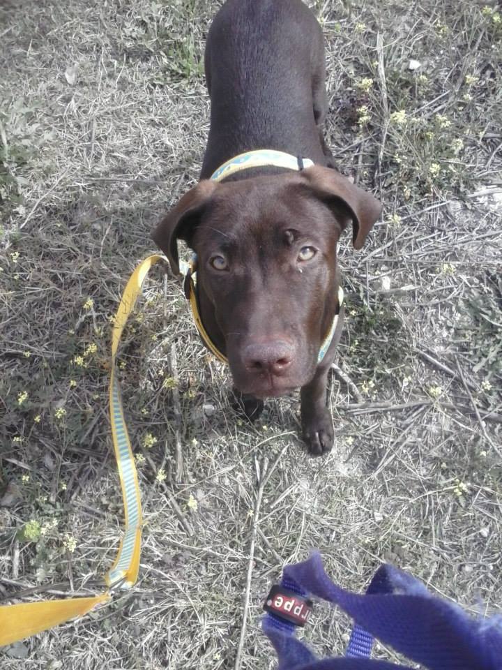 1962658_10201582985156460_1953116042_n