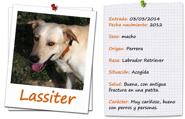 ficha lassiter