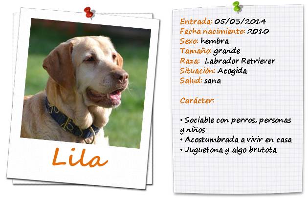 lila