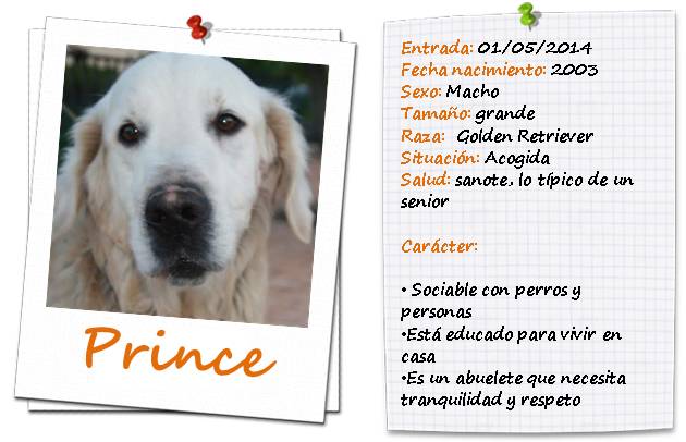 PRINCE