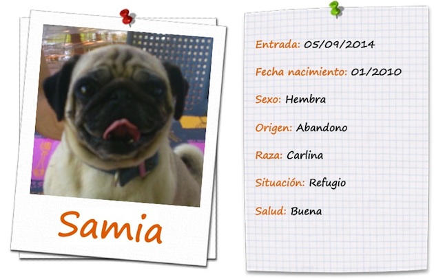 samia ficha