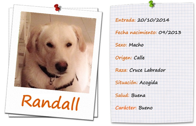 randall ficha