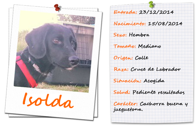 isolda_ficha