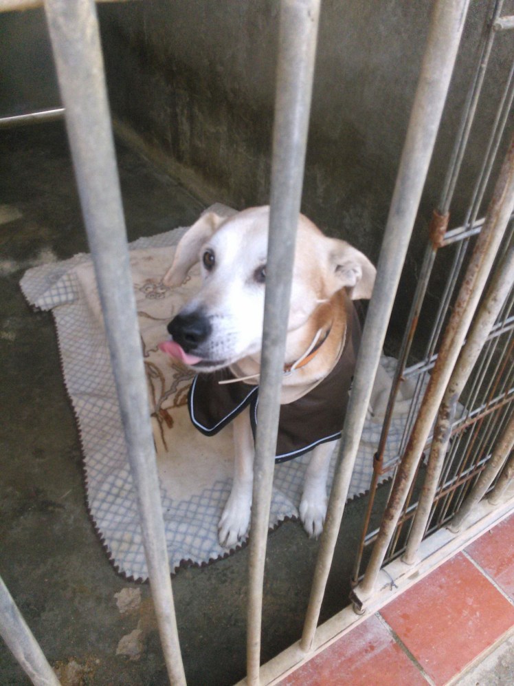 IMG_20141208_101324.jpg image