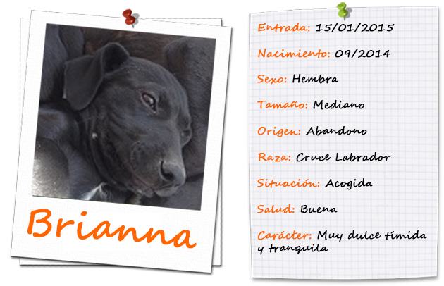 brianna_ficha