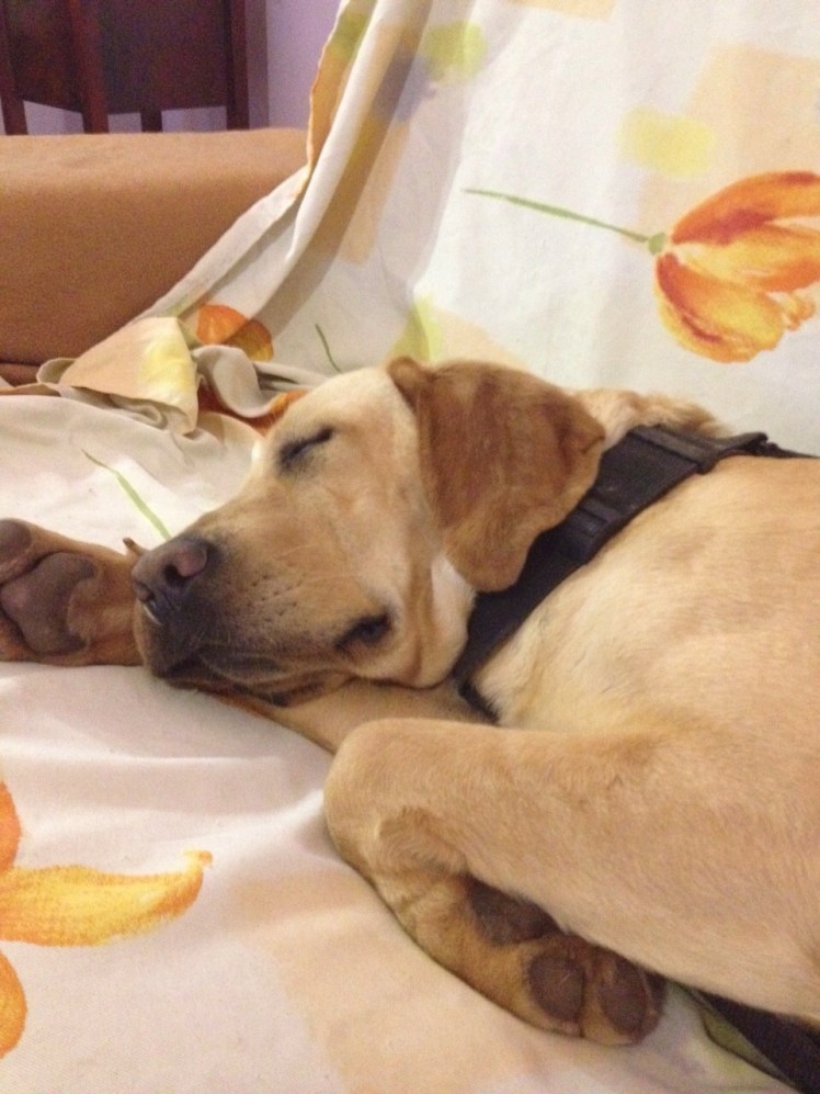 IMG-20150326-WA0000.jpg image