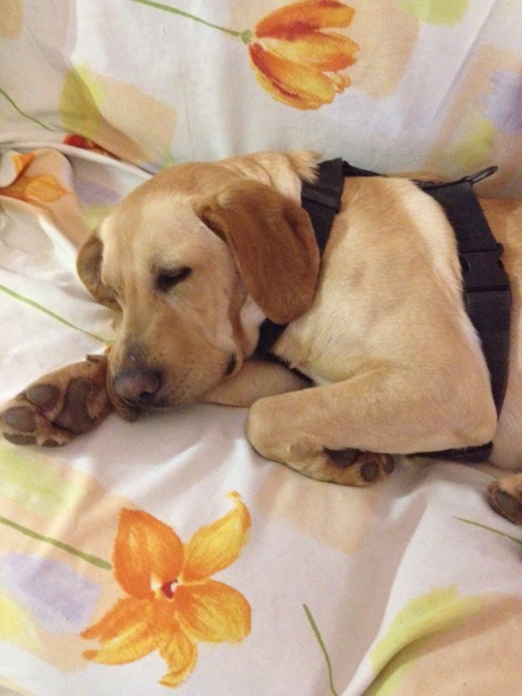 IMG-20150326-WA0002.jpg image