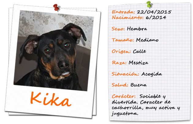 kika_ficha