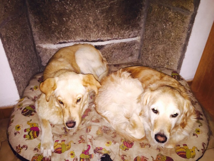 IMG-20150531-WA0016.jpg image