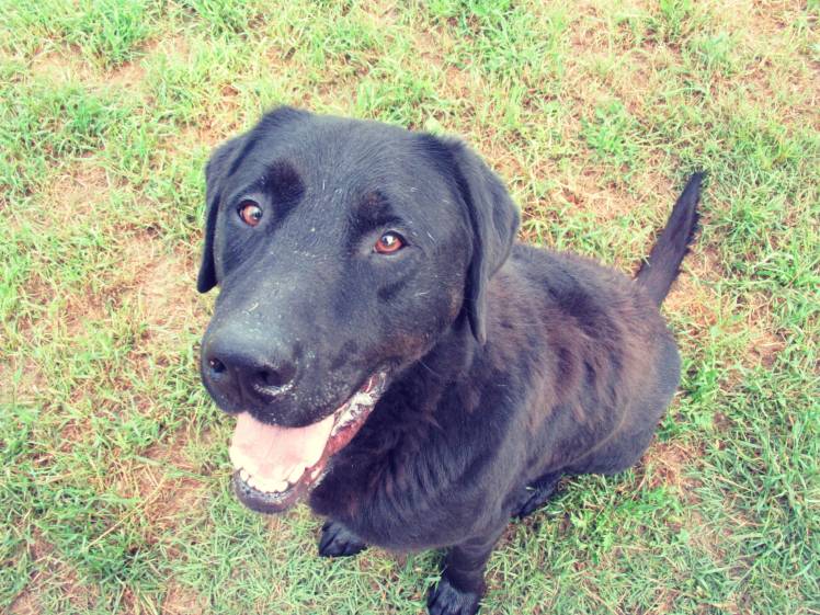 PHOTO-2020-05-18-10-11-25