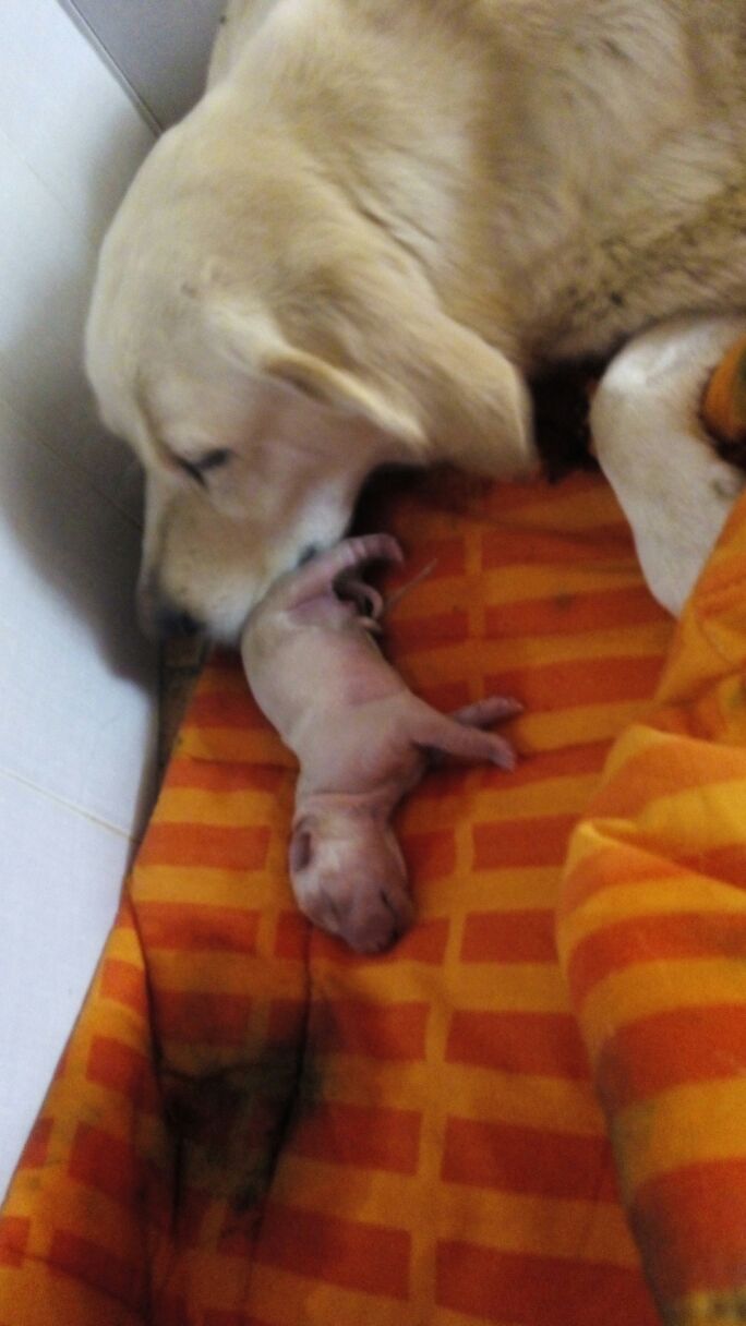 IMG-20150510-WA0007.jpg image