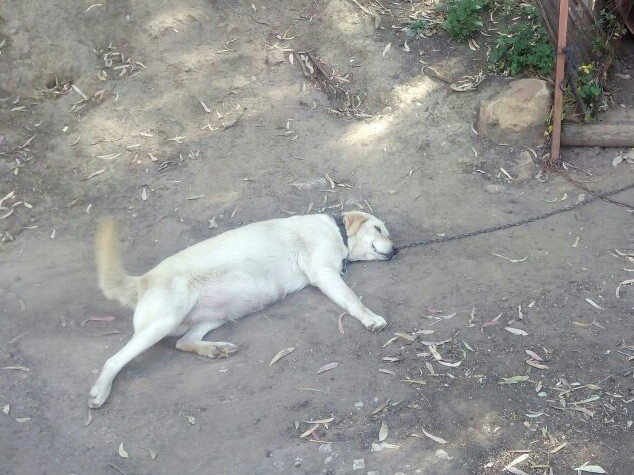 IMG-20150517-WA0012-1.jpg image