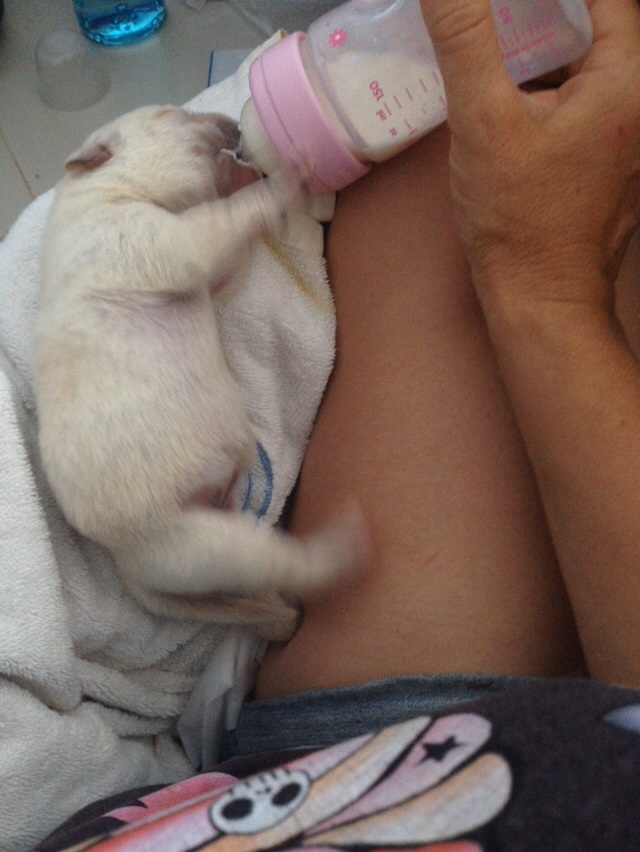 IMG-20150517-WA0017.jpg image