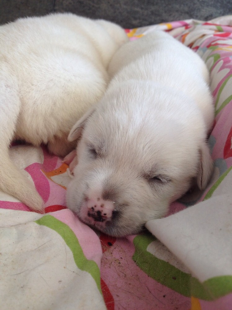 IMG-20150602-WA0025.jpg image