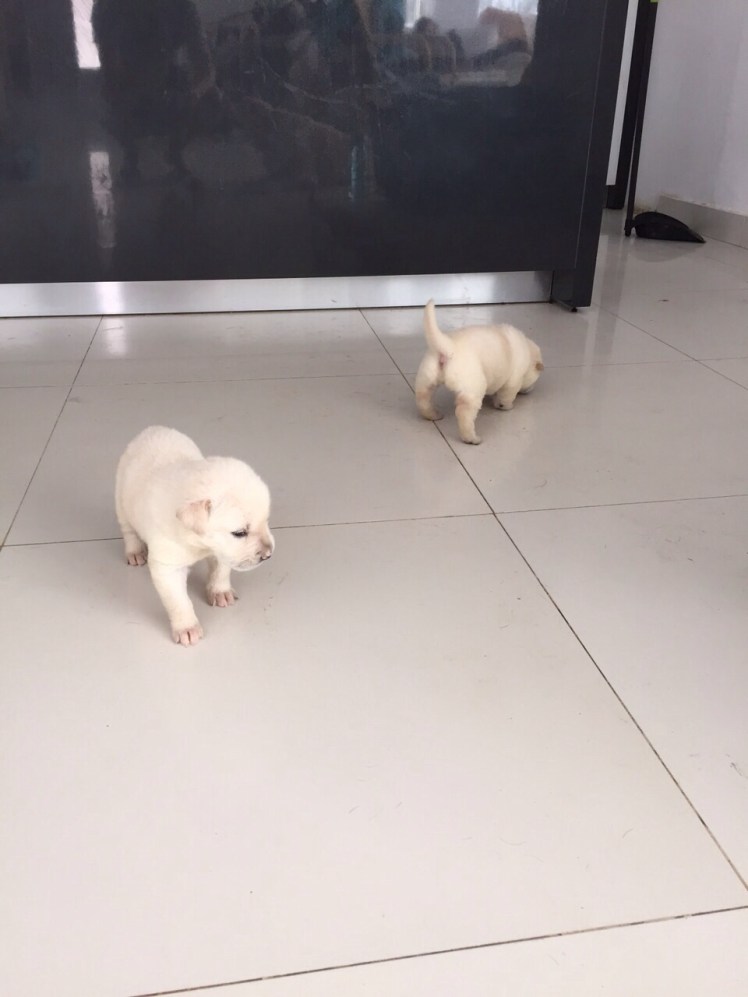 IMG-20150607-WA0013.jpg image