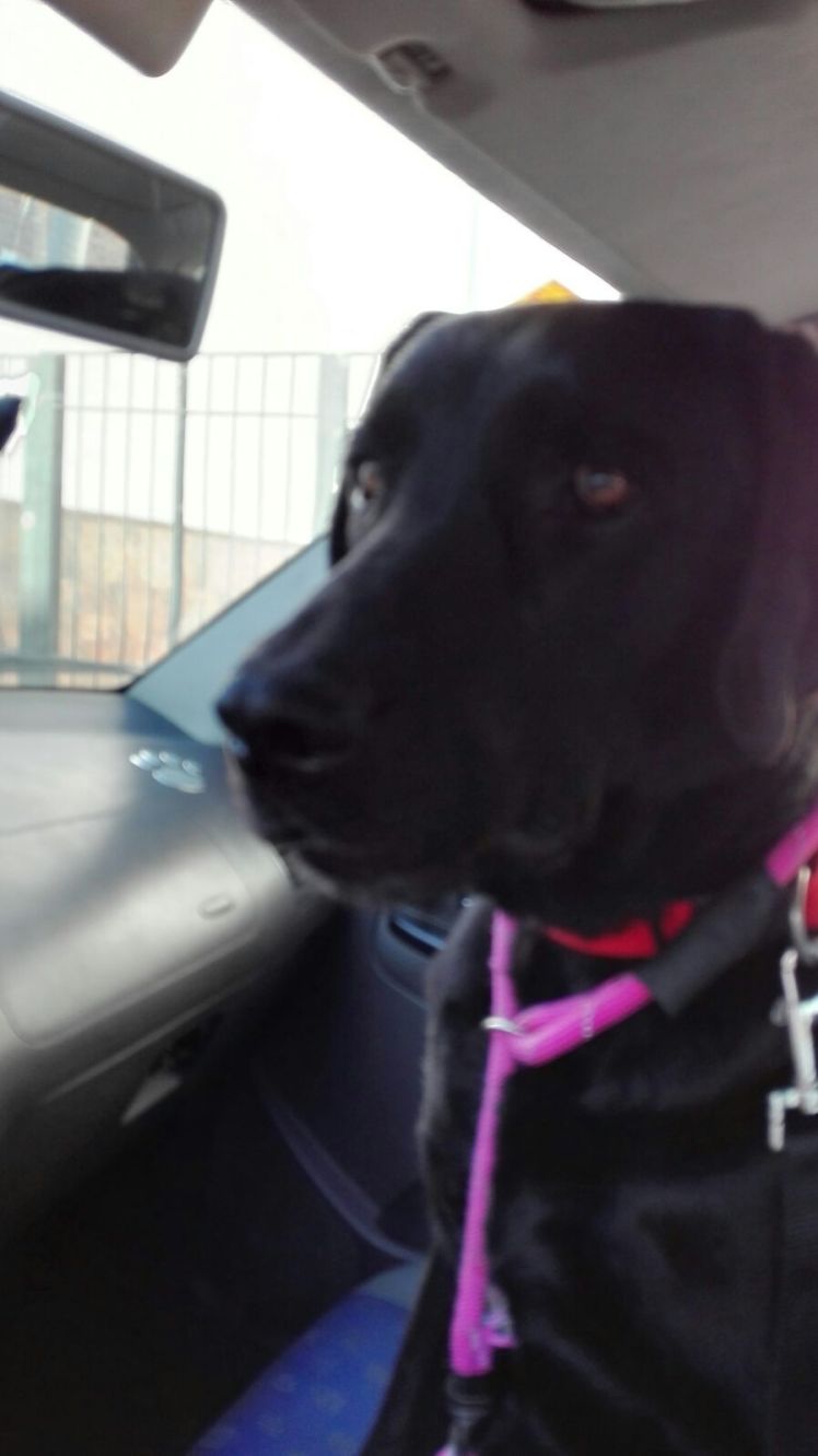 IMG-20160524-WA0006.jpg image