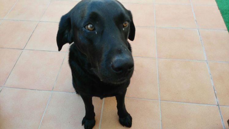 IMG-20160524-WA0007.jpg image