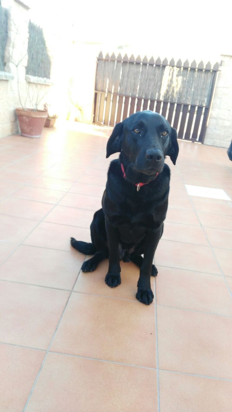 IMG-20160524-WA0008.jpg image