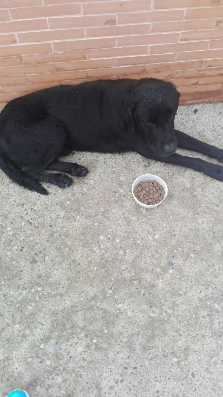 IMG-20160524-WA0010.jpg image