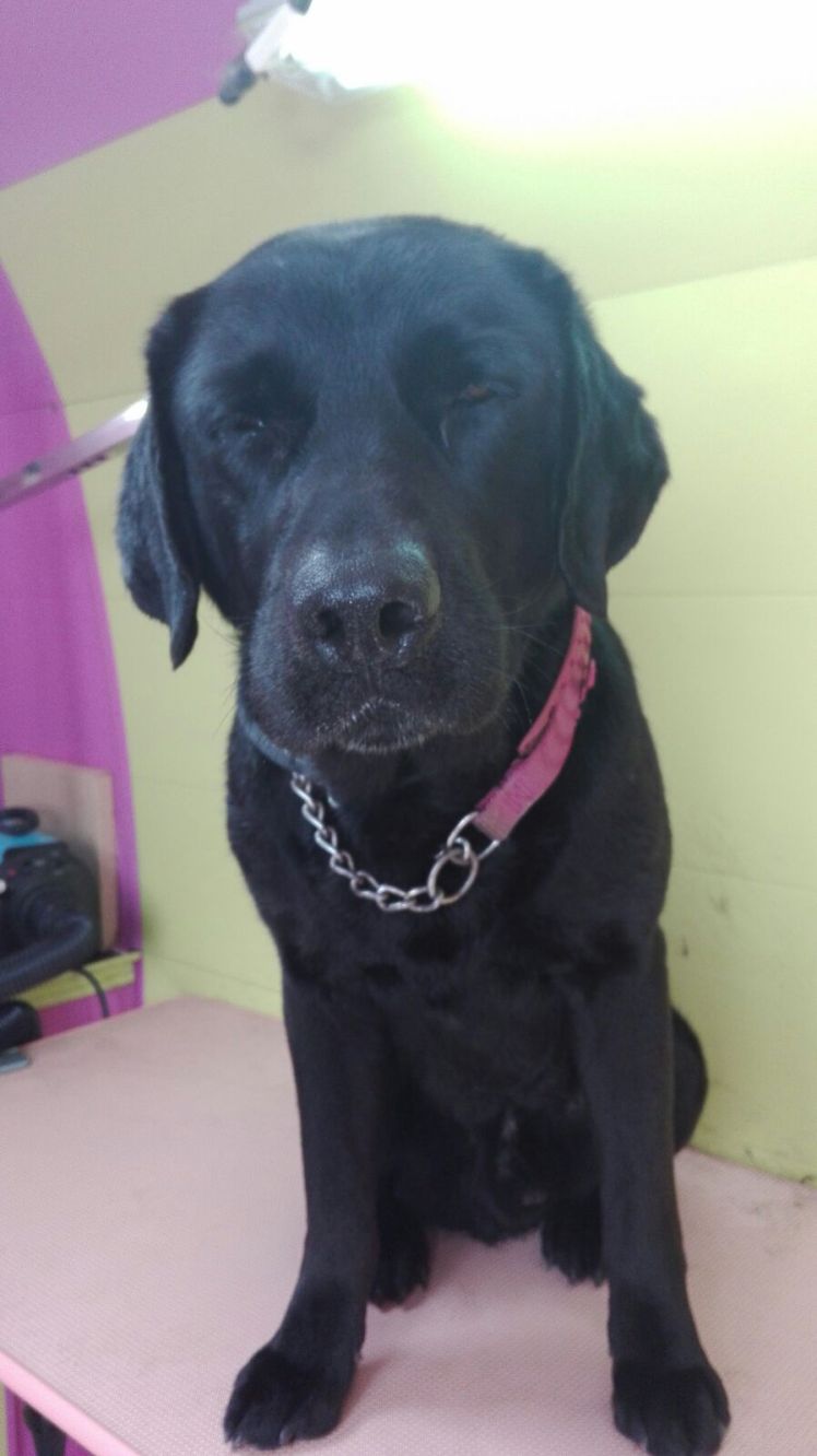 IMG-20160524-WA0012.jpg image