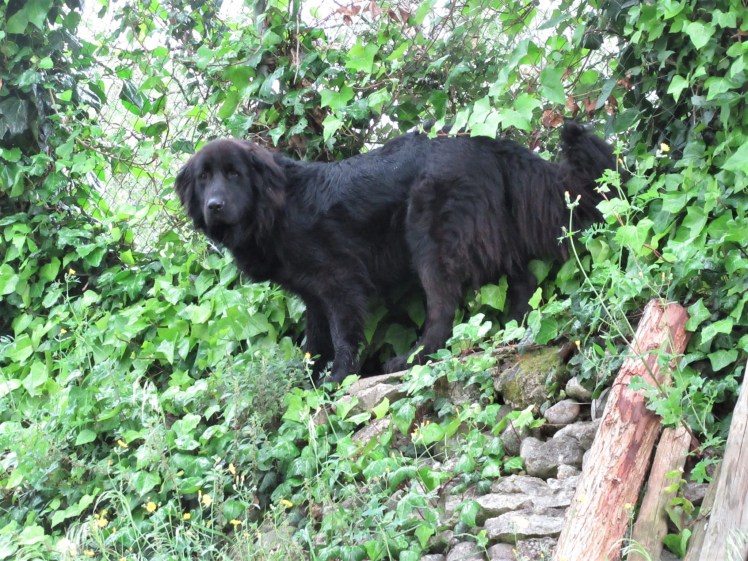 PHOTO-2020-05-18-10-12-54 (1)